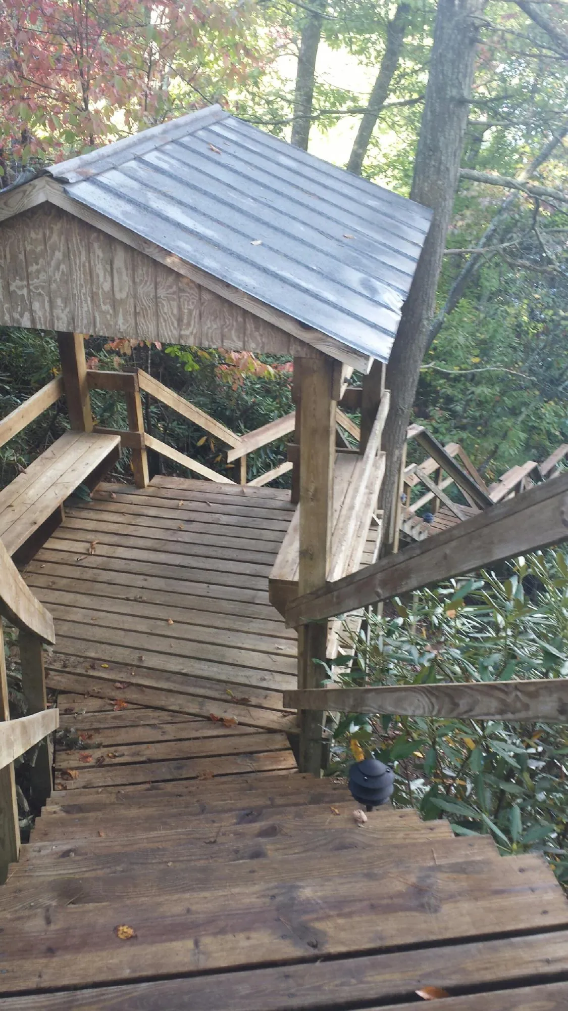 Metal roofed shelter over wooden steps on a wooded walkway — Skylight Repair & Installation work by our crew in Ozark